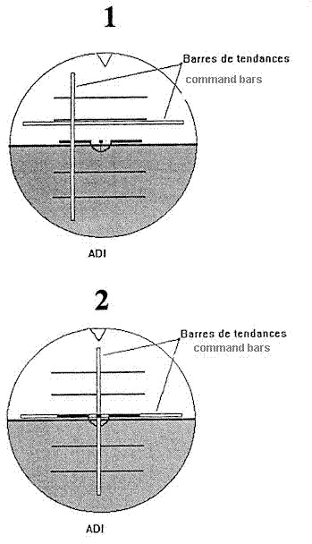 connaissances pilote